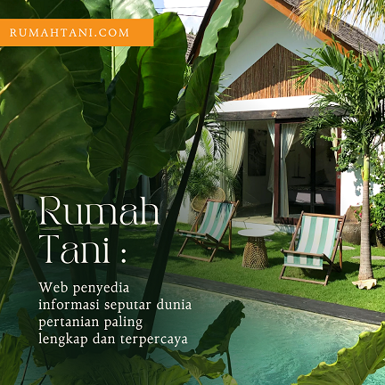 rumah tani