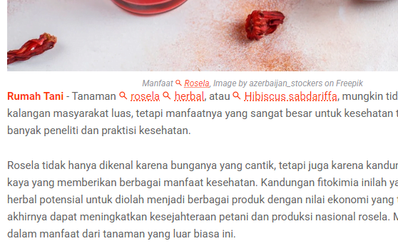 Apa Itu Link Niat Iklan Google AdSense?