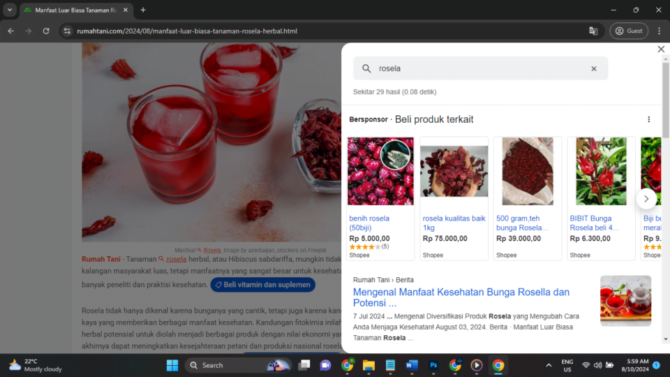 Apa Itu Link Niat Iklan Google AdSense?
