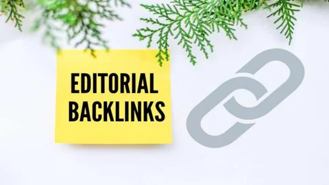 Backlink Editorial, Image By Issuu