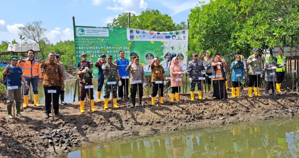 Cilacap Tanam Mangrove Serentak di Hari Lingkungan Hidup Sedunia, Bukti Nyata Cinta pada Alam